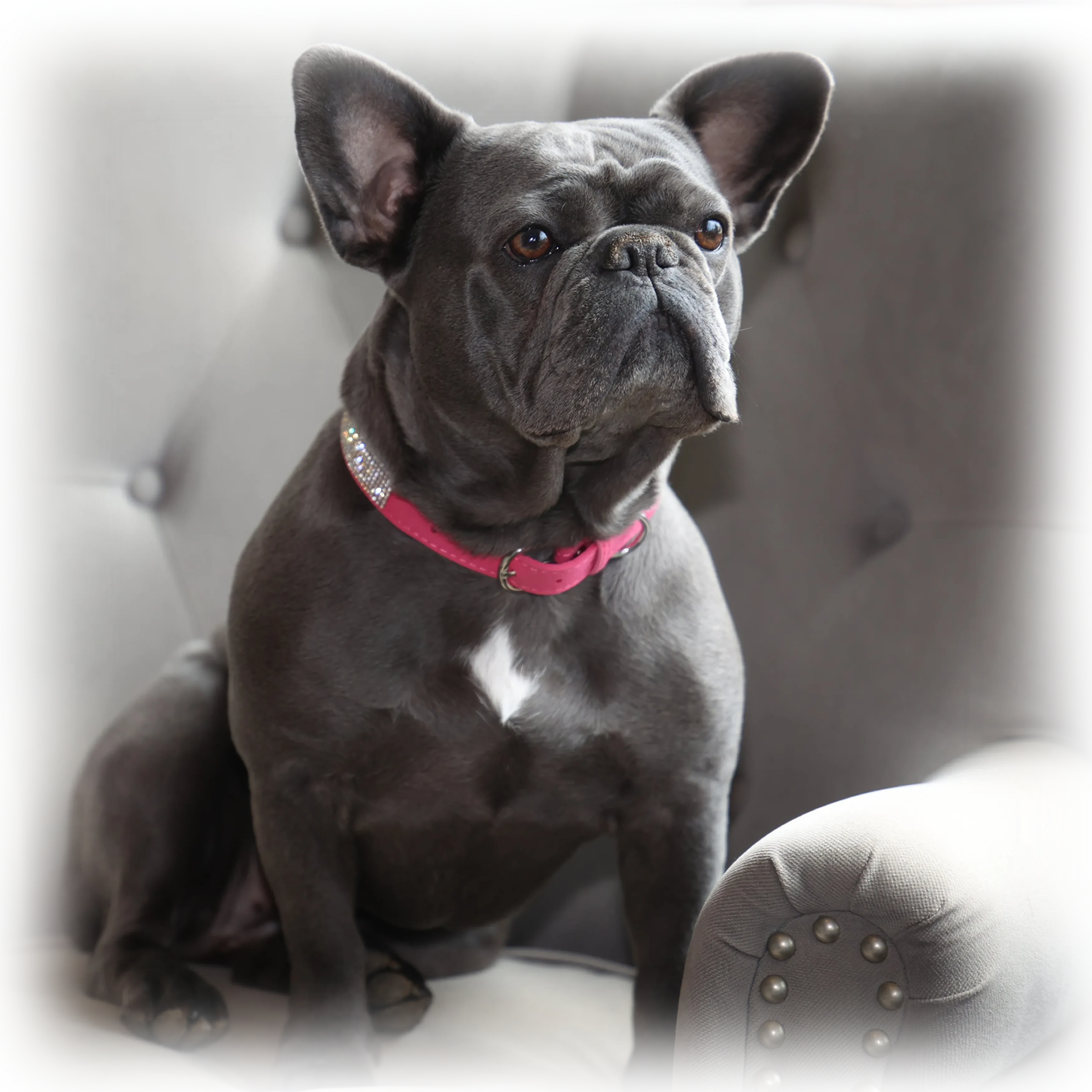 [practice_name] photo